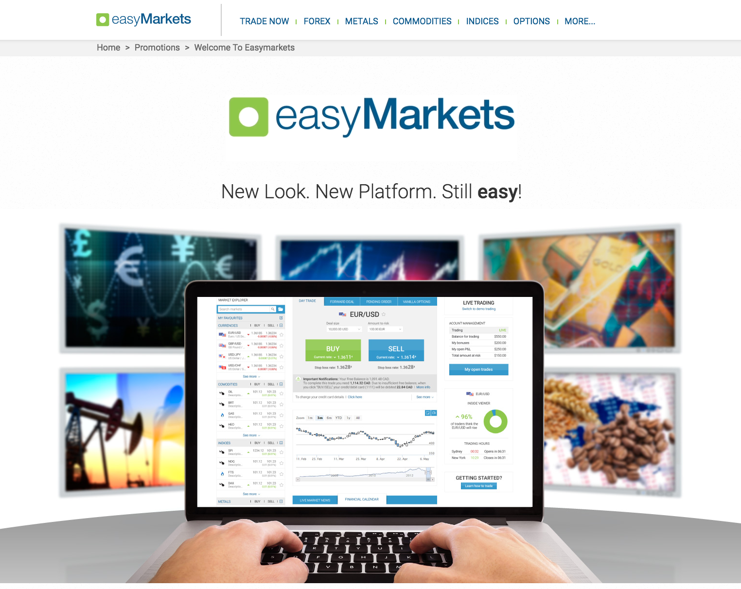 Easy Forex Review Home page